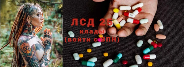 PSILOCYBIN Магас