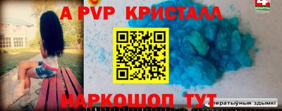 амф Гай