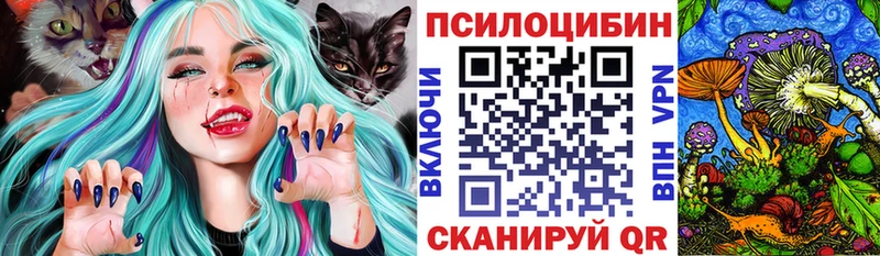 Галлюциногенные грибы Cubensis Грозный