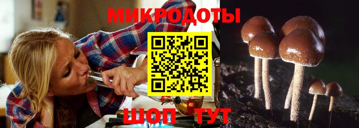 Грозный  Галлюциногенные грибы мухоморы  Псилоцибиновые грибы ЛСД  Вход с VPN 